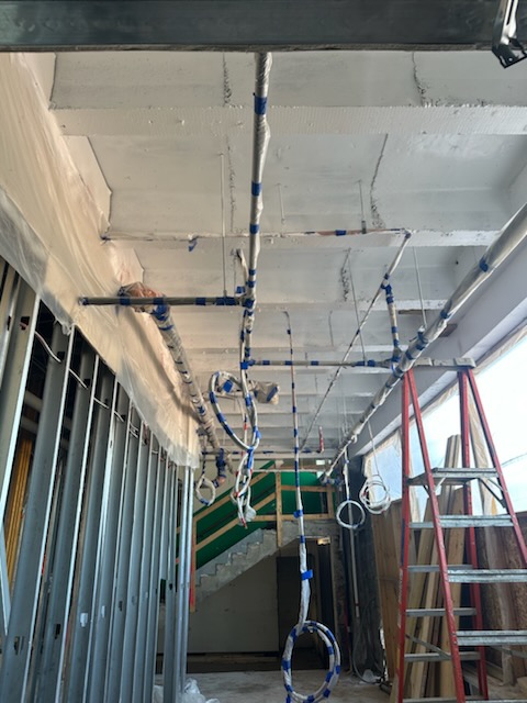 Intumescent Coating