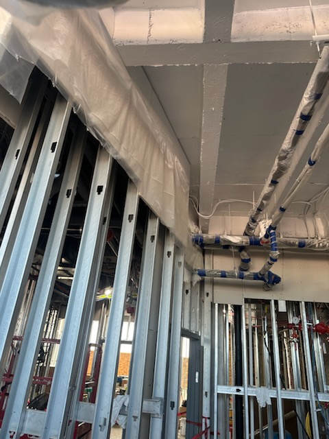 Intumescent Coating Detail